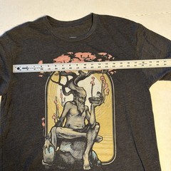 Dryad Multicolor on Heather Black Triblend Unisex Large