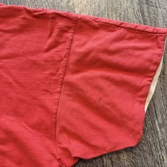 True Vintage 70s Champion Blue Bar Brodhead Red Cardinal Gym PE Tee Shirt
