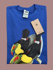 Nike ACG Blue Toucan Heavy Loose Fit T Shirt Men’s Sz M New $55