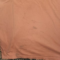 Patagonia P-6 Logo Organic Cotton Tee | Large | Desert Orange Sustainable Flaw