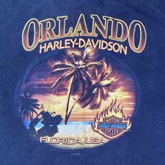 Harley-Davidson Shirt Mens Large Black Orlando Flames Graphic Motorcycle Florida