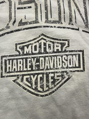 Harley-Davidson Shirt Mens XL Gray Fairbanks Alaska Graphic Tee Motorcycle