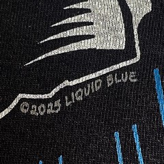 Jesus Ascension Black T-Shirt Liquid Blue