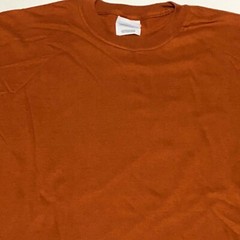 Hanes Heavyweight Dark Orange Men’s Cotton T-Shirt * Size Medium 38-40