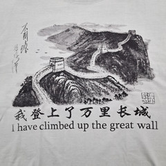 VTG I Have Climbed Up the Great Wall Graphic China T-Shirt Size L Sage Green