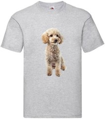 Miniature Poodle White Dog Pet Family Novelty T Shirt Various Colours And Sizes