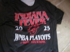 Indiana Fever 2025 WNBA Playoffs T-Shirt