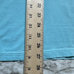 Chubbies Tee Men’s T Shirt Size M Turquoise Short Sleeve Sky’s Out Thighs Out