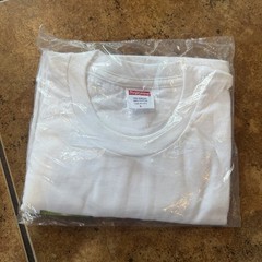 SUPREME SS19 FRUITS TEE WHITE SIZE L NEW IN BAG DS 100% AUTHENTIC