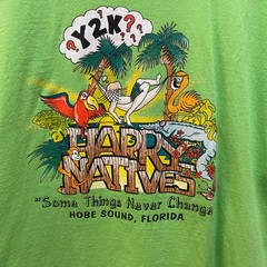 Gildan’s Men’s Short Sleeve T-Shirt. Large. Lime Green. Cotton.