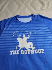 Peter Millar The Roundup T Shirt Mens Size Large Blue White Striped UPF 50+ NEW