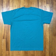 Vtg 90s Hanes Heavyweight 50/50 Antigua T Shirt Large Single Stitch Teal Beach
