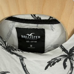 Hollister Mens Palm Tree Print T-Shirt Gray Short Sleeve Cotton Graphic Tee M
