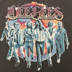 Foo Fighters Dee Gees Hail Satin T Shirt Adult Size Large Gray Double Sided