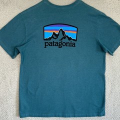 Patagonia T-Shirt Mens Large Teal Blue Responsibili-Tee Graphic Tee Short Sleeve