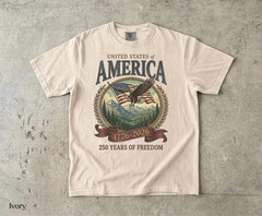 America 250th Anniversary 90s Graphic Style Comfort Colors Tshirt FREESHIP