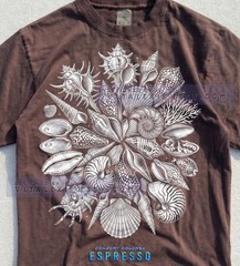 Old School Seashells Ammonite Comfort Tee