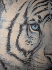 Vintage 2003 The Mountain Tiger Animal Nature Big Cat Blue Medium T-Shirt