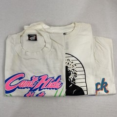 Wholesale Lot of 30 Vintage Short Sleeve Tee Shirts (Sizes In Description)