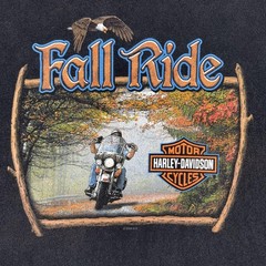 Harley-Davidson Shirt Mens 2XL Black Fall Ride Northern Lights Graphic 2009