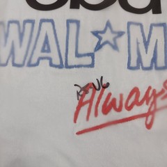 Vintage Anvil Shirt Mens XL Tee Walmart Embroidered 90s Y2K Baby Blue Preshrunk