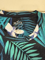 Hollister Curved Hem Tee, high quality cotton t-shirt, size L, mens, black/green