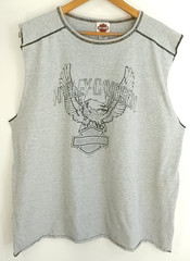 Birmingham AL Riders Harley Davidson Graphic T-Shirt Men’s XXL Gray Sleeveless