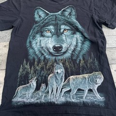 Rock Eagle Wolf Graphic T Shirt Short Sleeve Wildlife 90s Mens Small