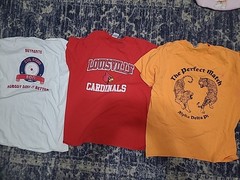 Lot Of 50 T Shirts Wholesale Vintage Single Stitch Bulk Bundle Resellers 90s Y2K