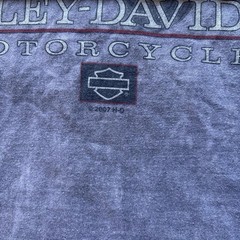 Harley Davidson Men’s Myrtle Beach PirateBiker Graphic Shirt Gray Medium Cotton