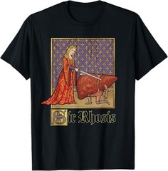 Sir Rhosis Medieval Pun Meme Funny Liver Drunk T-Shirt