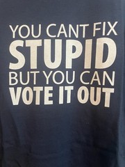 You Cant Fix Stupid But You Can Vote It Out Funny Political Graphic T Shirt