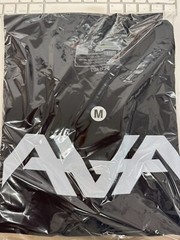 MENS ANGELS AND AIRWAVES AVA LOGO T SHIRT