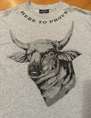 Zach Bryan Shirt Mens L Gray 2023 Tour Double Sided Here to Prove Bull Concerts