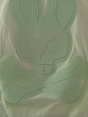NWOT – Psycho Bunny Men’s Damon Graphic Tee Patina Green – Large – GORGEOUS