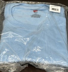 Hanes Tagless 100% Preshrunk Cotton Men’s Size Large Tee Shirts Many Colors