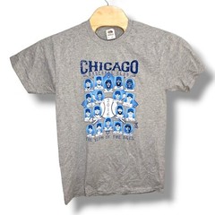 NWT Chicago Cubs World Champ 2016 Heather Gray T-Shirt MLB Size Medium