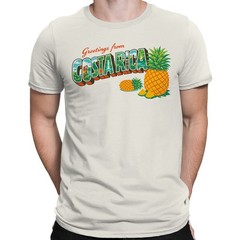 Greetings from Costa Rica Pineapple Men’s T-shirt