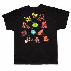 Wild Cotton GERMS Know the Enemy 2XL Double Sided T Shirt Science Microbiology
