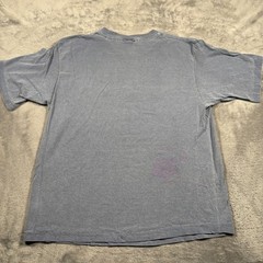 Vintage Pepsi 100 Percent Guaranteed Shirt Mens S/M Gray Nothing Else is a Pepsi