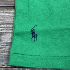 Polo Ralph Lauren Mens Classic Fit Script Logo Jersey T-Shirt Green MEDIUM NWT