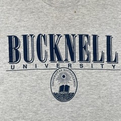 Vtg Gear For Sports Boxy M Grsy Shirt Bucknell University Shirt Made In USA 90s