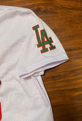 Los Angeles Dodgers MEXICO WEST COAST “Viva Mexico Cabrones” Jersey 20# READ