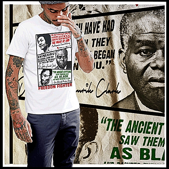 Black History Month T-Shirt Civil Rights Melanin quote African Pride Freedom tee