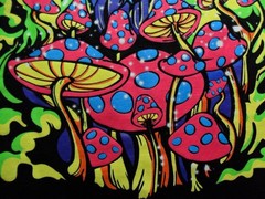 XL ALab Magic Mushrooms Wizard Shirt