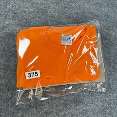 2 NEW PROCLUB HEAVY WEIGHT T-SHIRT ORANGE/BROWN PRO CLUB BLANK 2XL 2PC