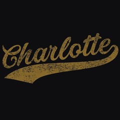 Charlotte City Baseball Script – Sports Team Hometown Baseball T-Shirt – Black