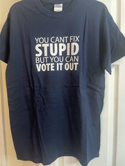 You Cant Fix Stupid But You Can Vote It Out Funny Political Graphic T Shirt