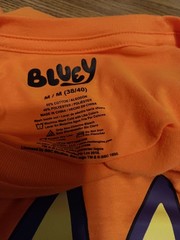Halloween Bluey Bingo Vampire Orange T Shirt Size Medium (38/40) Nwt