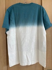 UNIQLO UT Hiroshige Ukiyo-e Kyoto Kinkakuji T-Shirt 100% Cotton Size M (US:S)
